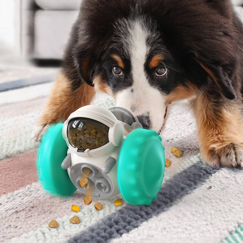 Distributeur croquette chien anti glouton | HappiPup™