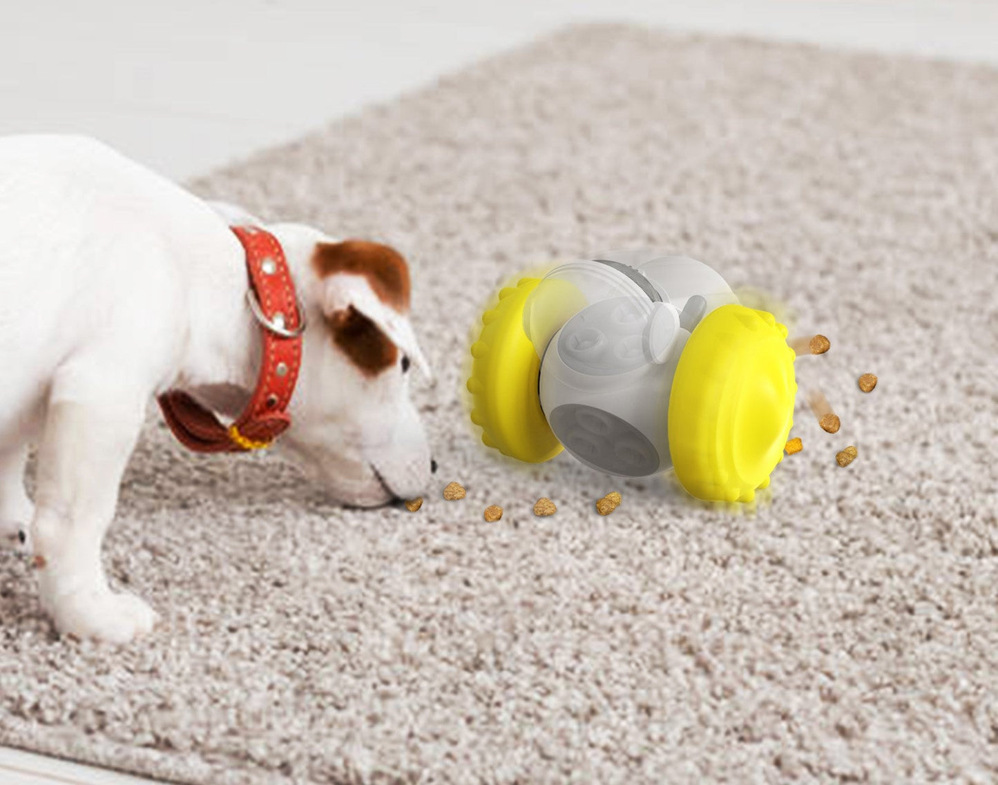 Distributeur croquette chien anti glouton | HappiPup™
