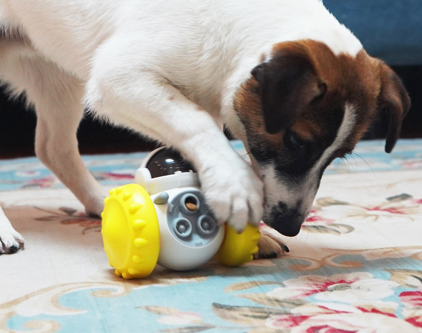 Distributeur croquette chien anti glouton | HappiPup™