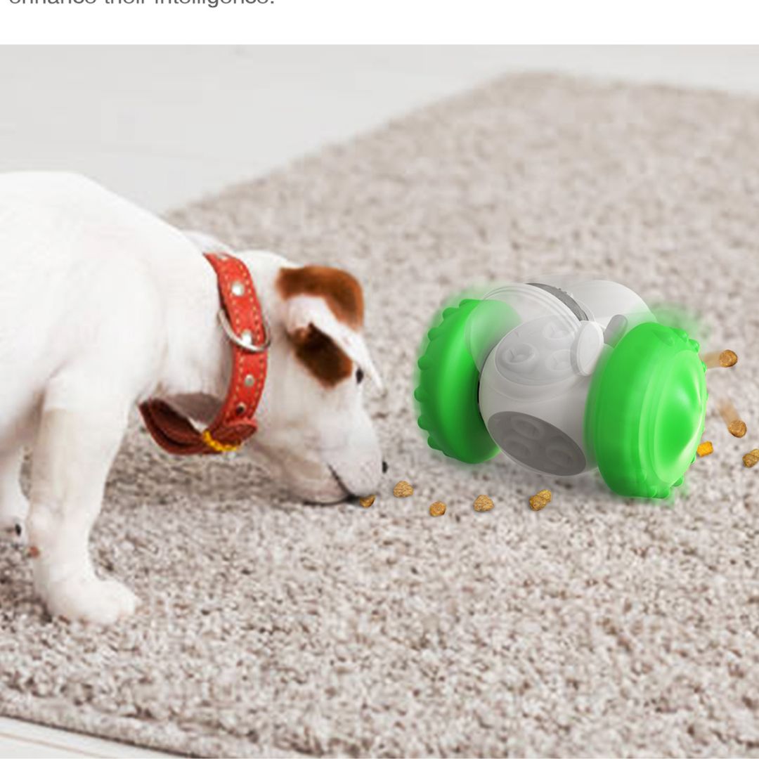 Distributeur croquette chien anti glouton | HappiPup™