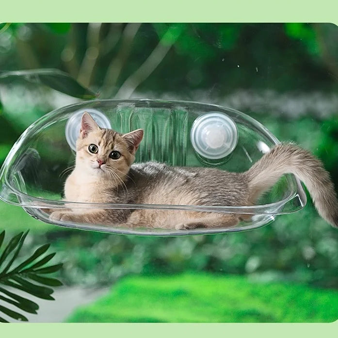 Fenêtre Bol Chats