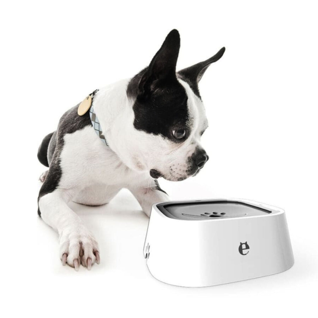 Fontaine à Eau Anti Débordement HisoPet™