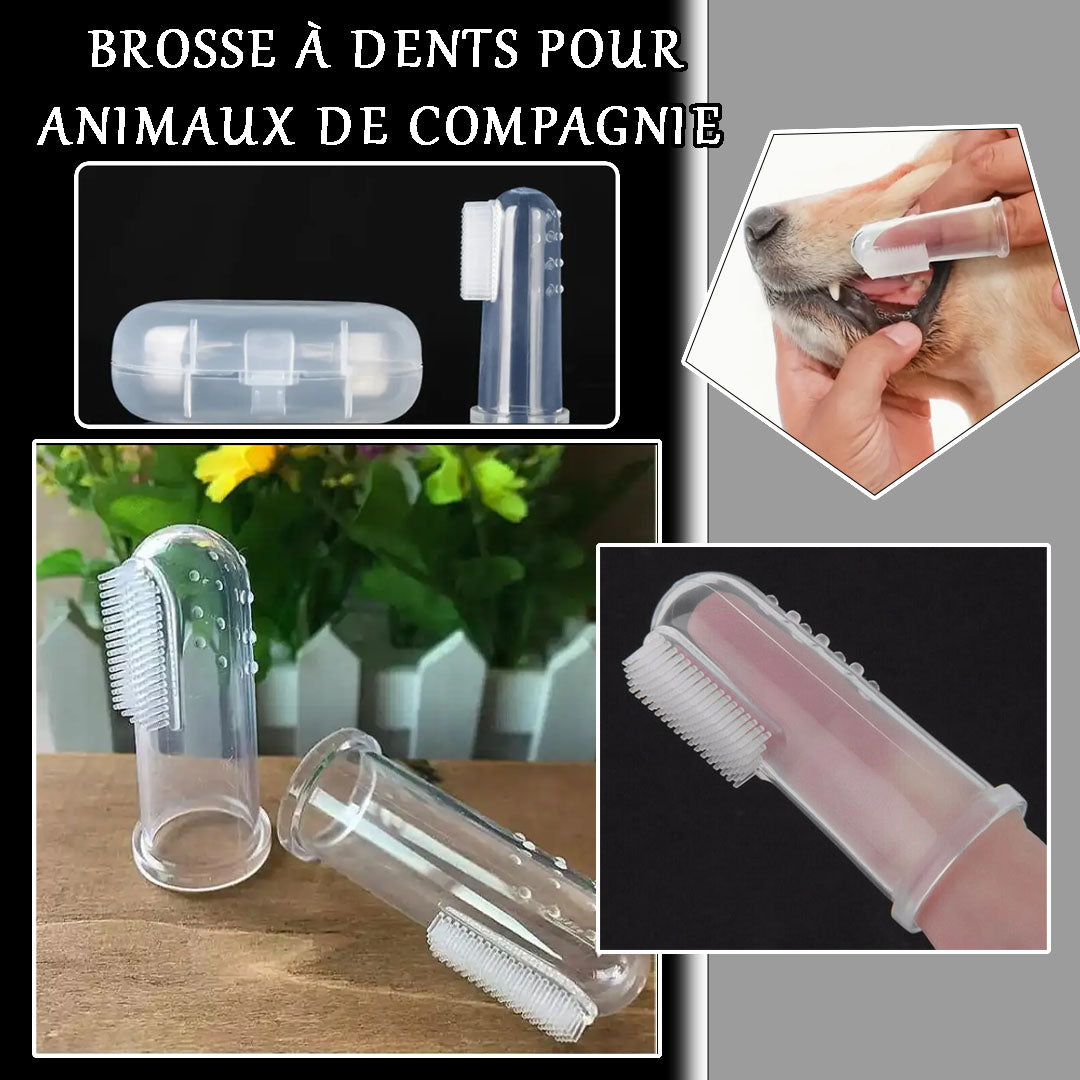 Brosse a dent chien | CleanSmile™