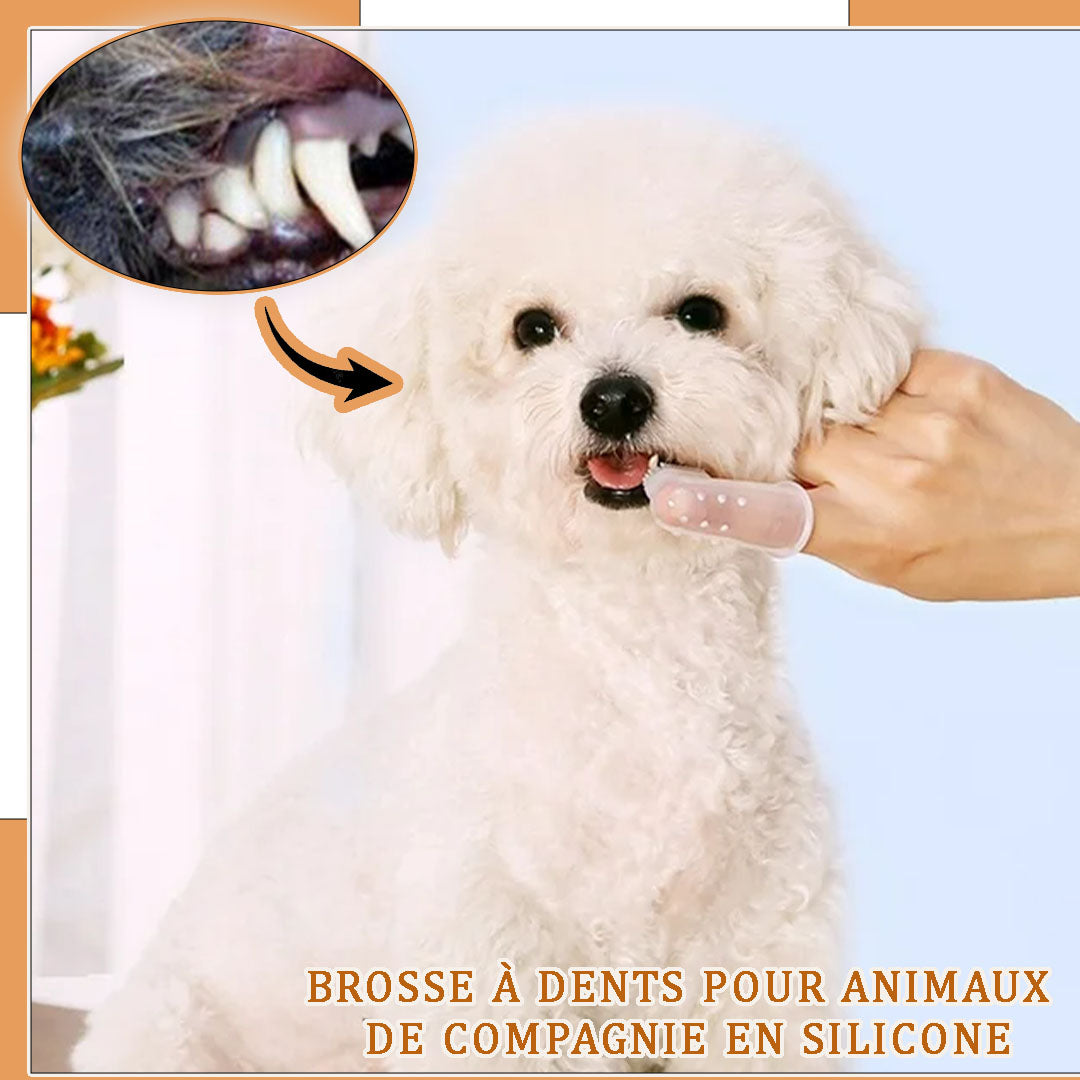 Brosse a dent chien | CleanSmile™