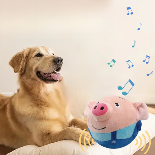 Cochon Sauteur - Jouet Interactif Pour Chiens