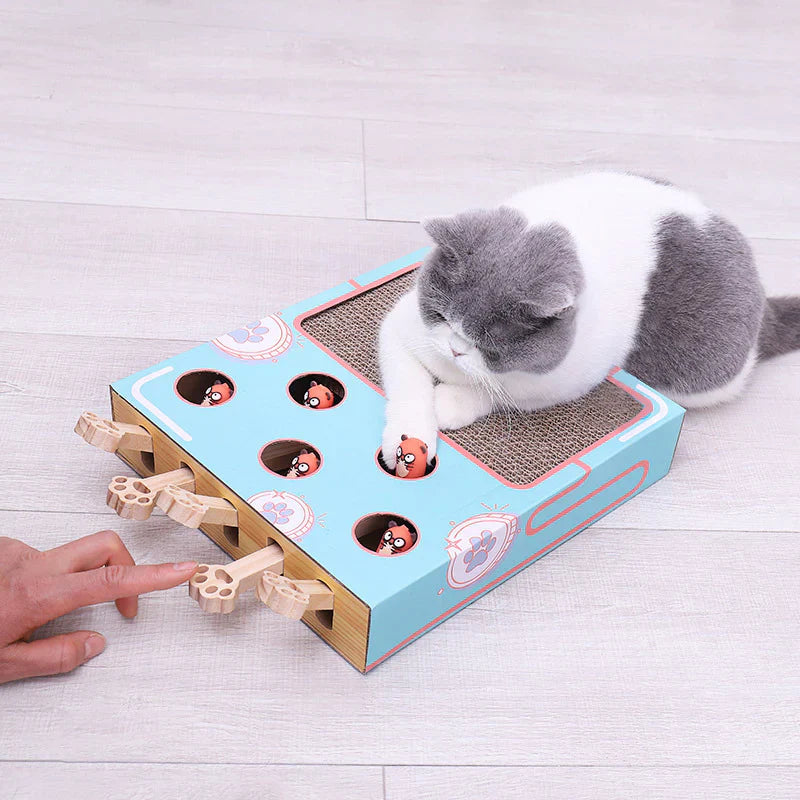 Boîte De Jeu 3en1 Pour Chats