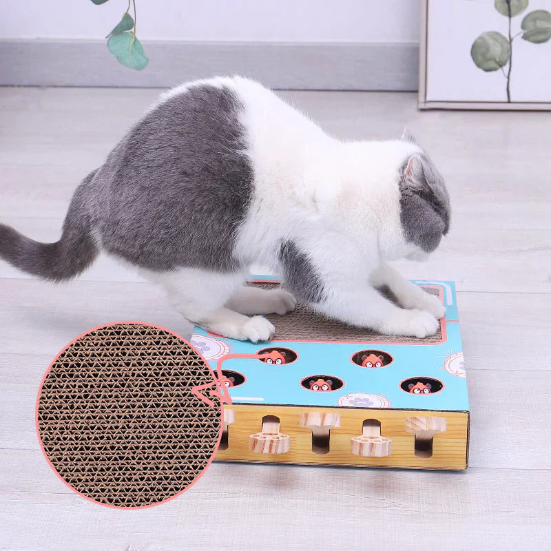 Boîte De Jeu 3en1 Pour Chats