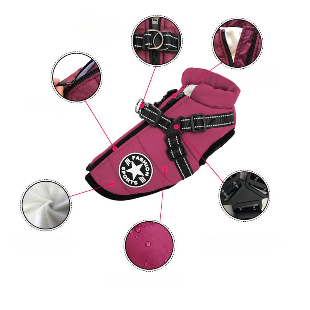 Veste pour Chien Coupe-vent et Imperméable avec Harnais Intégré Animaux Plus