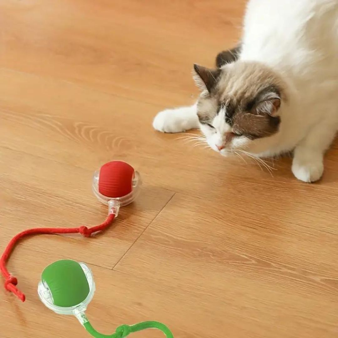 Balle De Jeu Interactive Avec Queue Pour Chats
