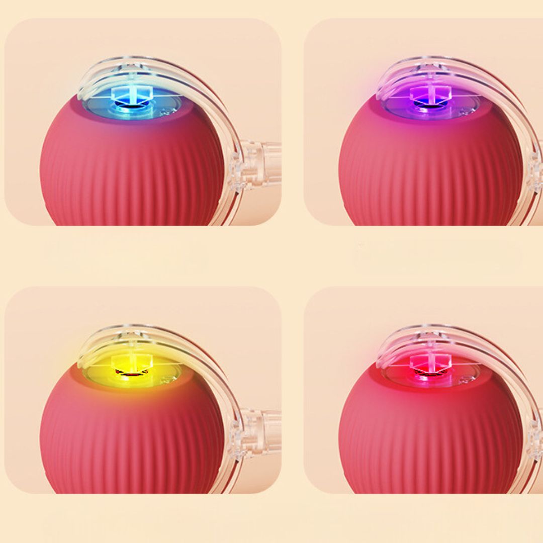 Balle De Jeu Interactive Avec Queue Pour Chats