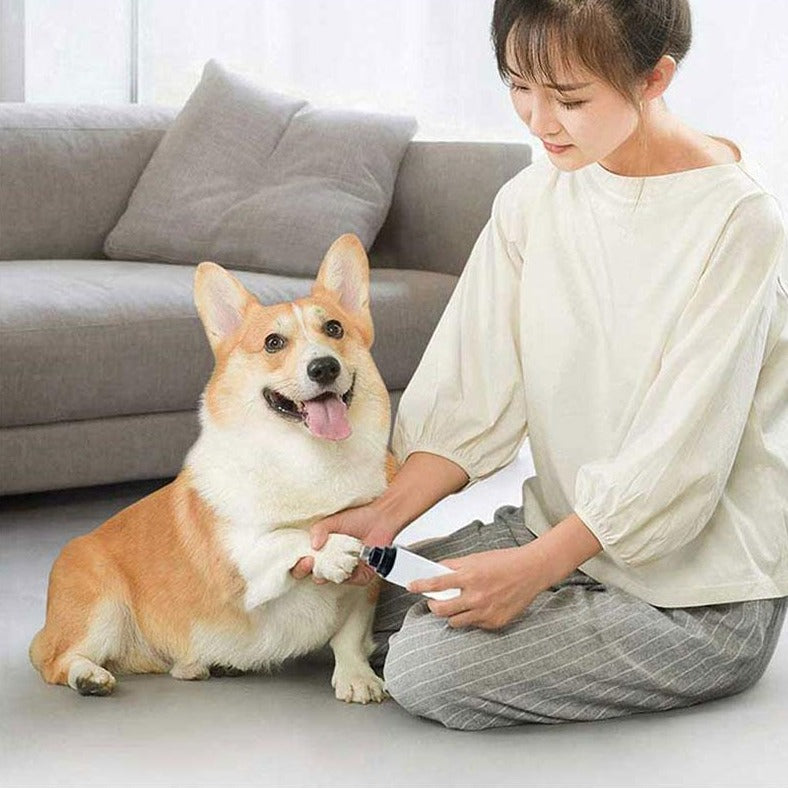 Lime à Griffes USB pour animaux de compagnie