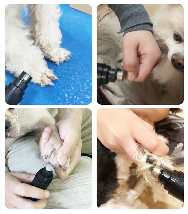 Lime à Griffes USB pour animaux de compagnie