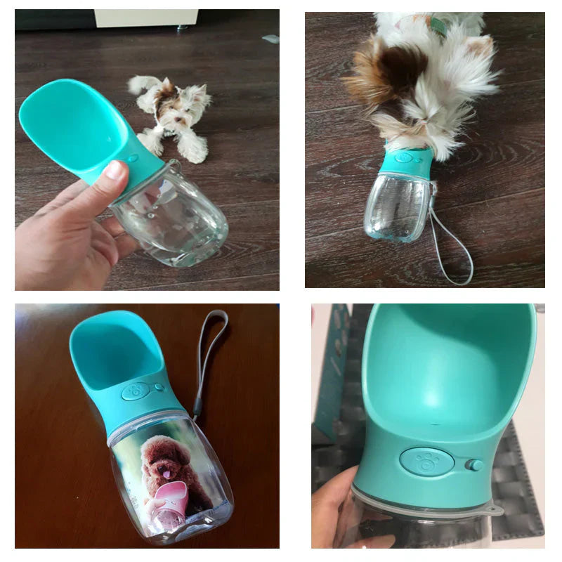 Gourde Pour Chiens En Déplacement