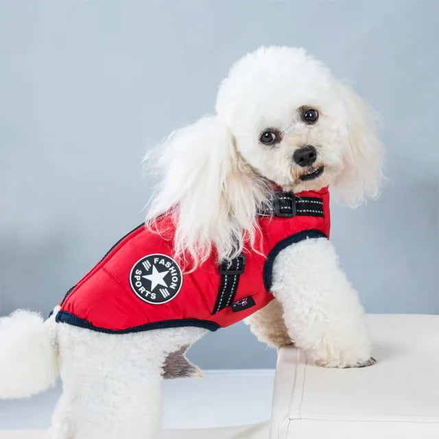 Veste pour Chien Coupe-vent et Imperméable avec Harnais Intégré Animaux Plus