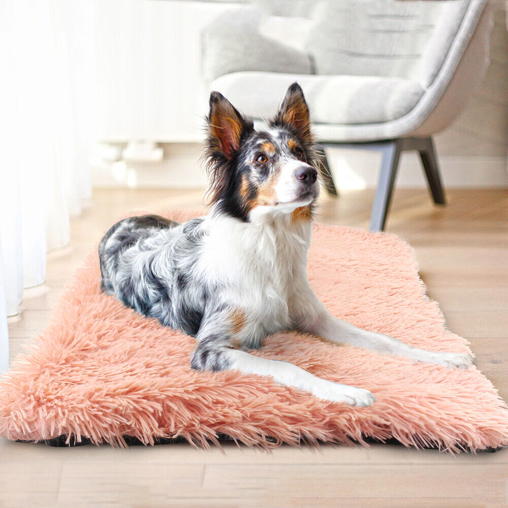 Tapis polaire pour chien