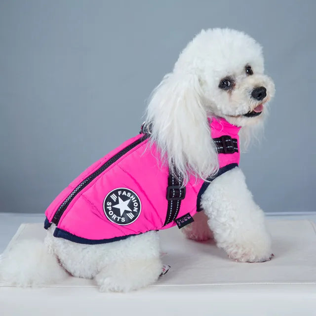 Veste pour Chien Coupe-vent et Imperméable avec Harnais Intégré Animaux Plus