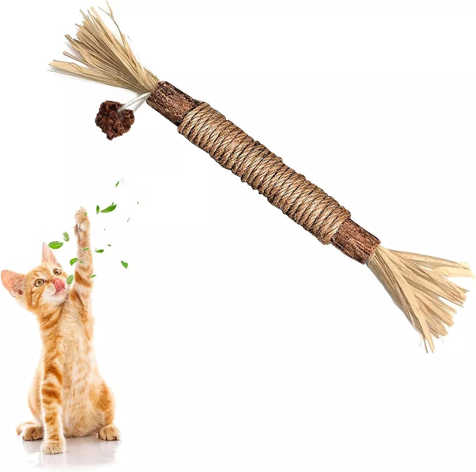 Bâtonnets De Nettoyage Des Dents Kitty