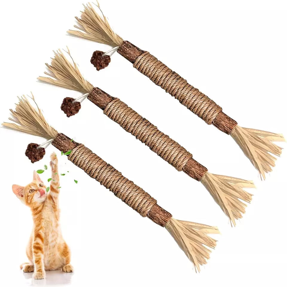 Bâtonnets De Nettoyage Des Dents Kitty