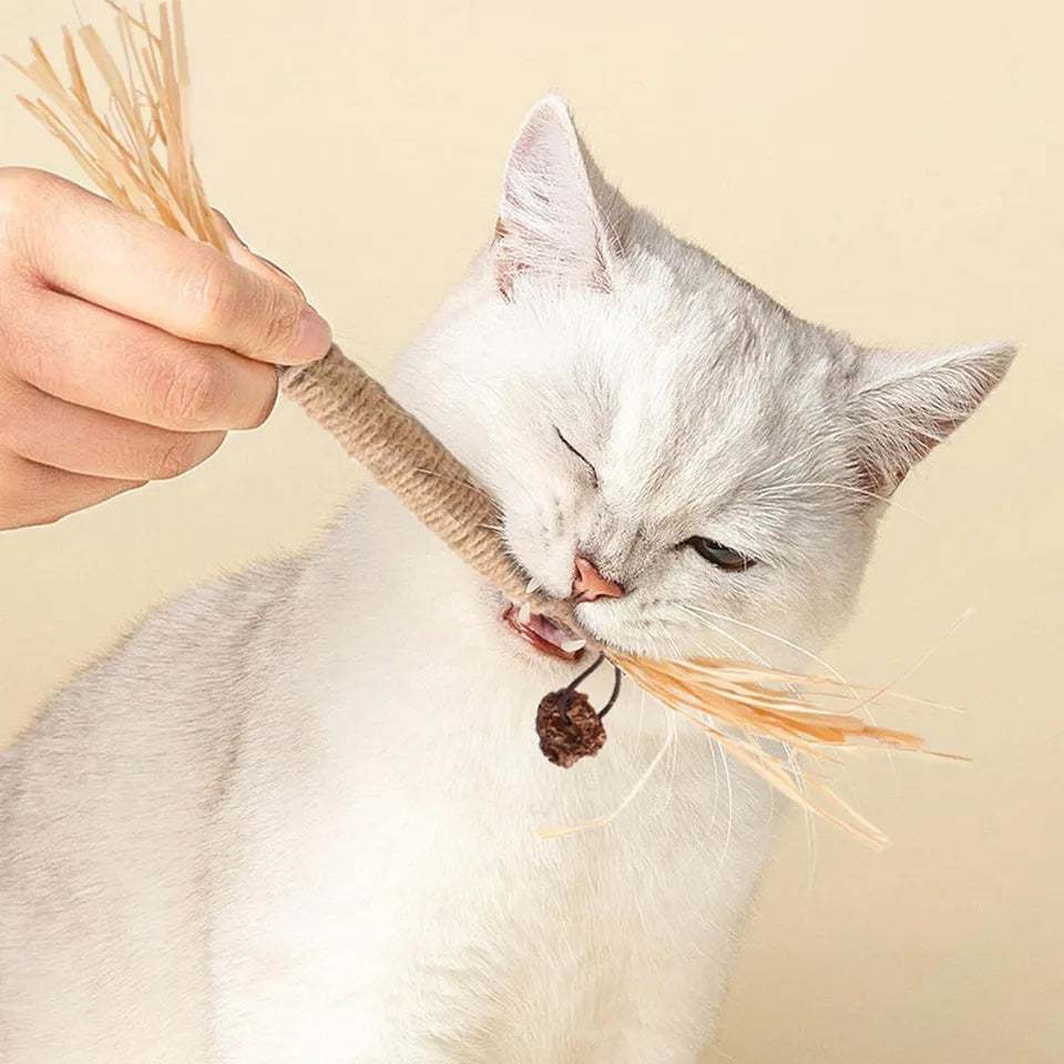 Bâtonnets De Nettoyage Des Dents Kitty