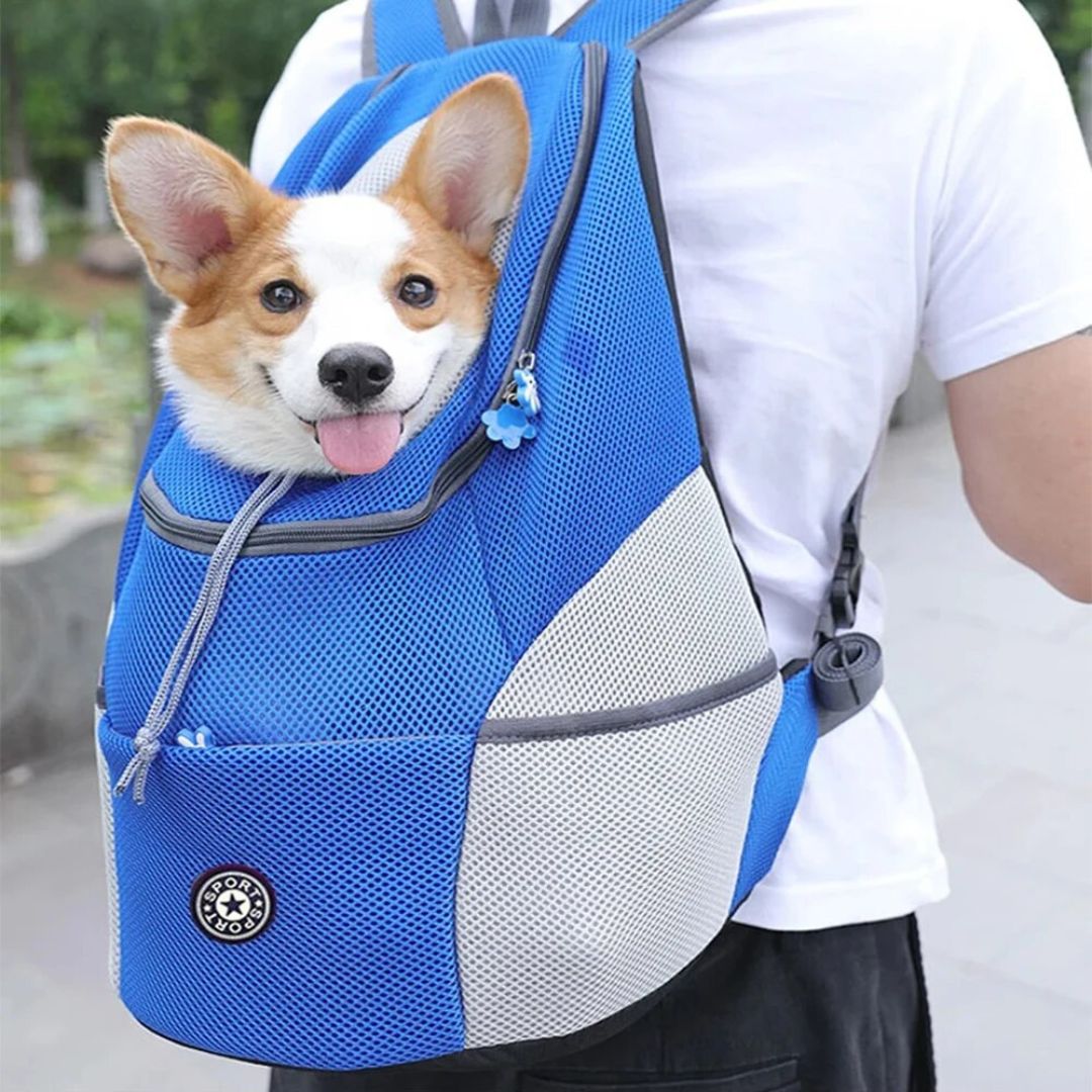 Sac a dos pour chien | CaniComfy™