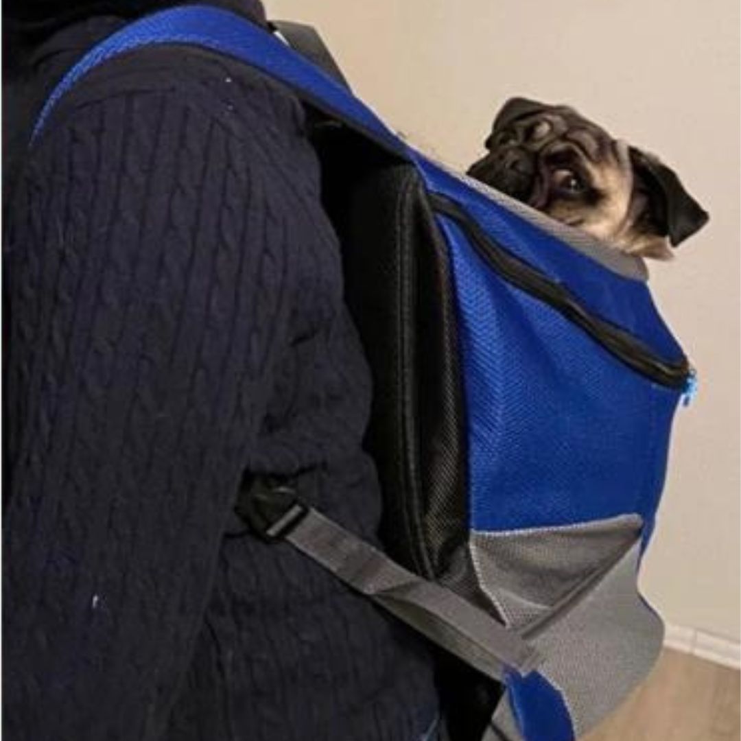 Sac a dos pour chien | CaniComfy™