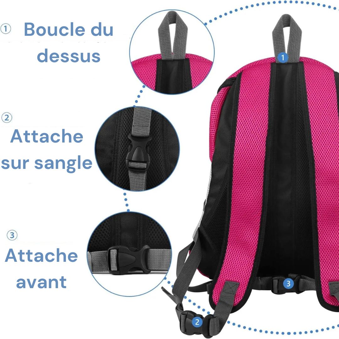 Sac a dos pour chien | CaniComfy™