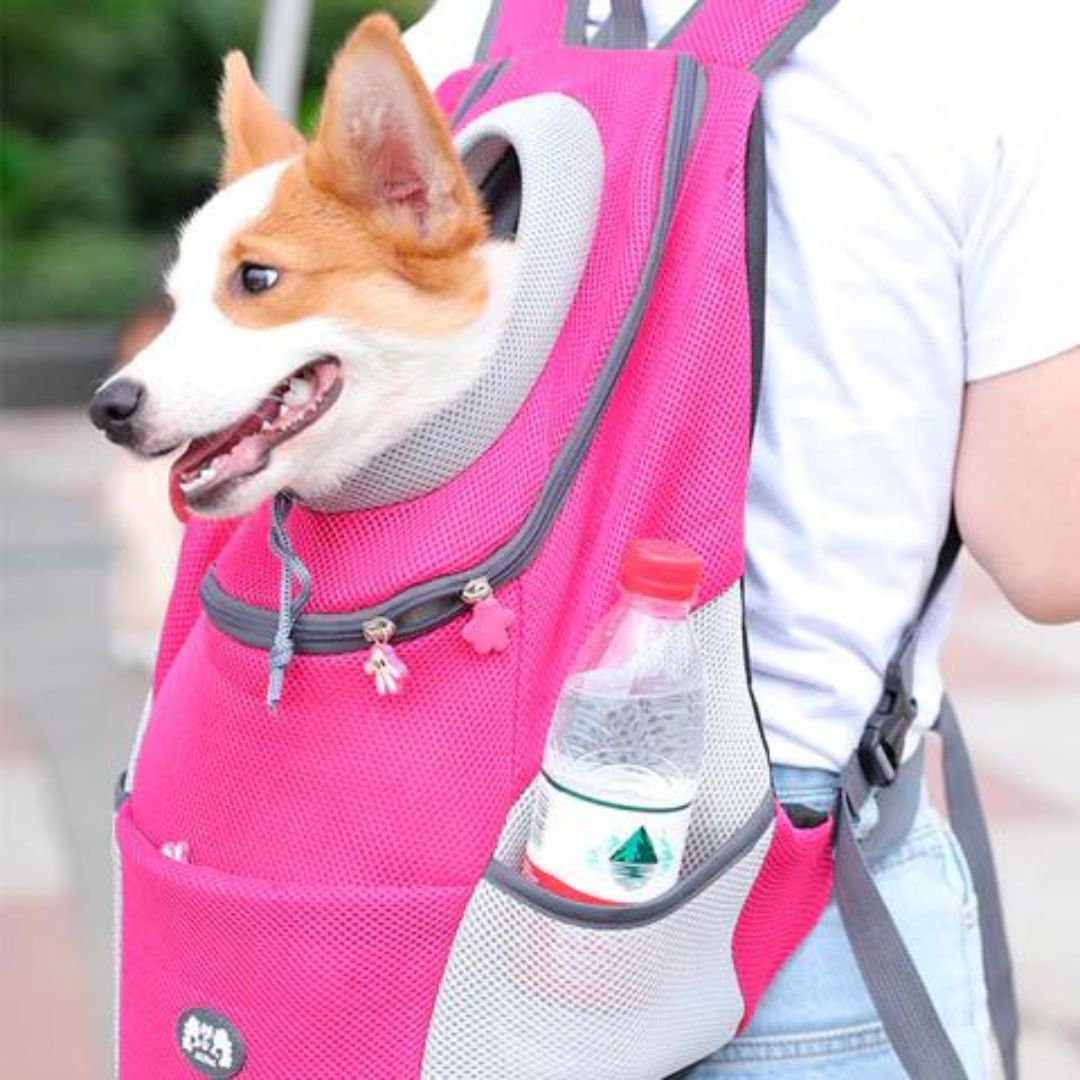 Sac a dos pour chien | CaniComfy™