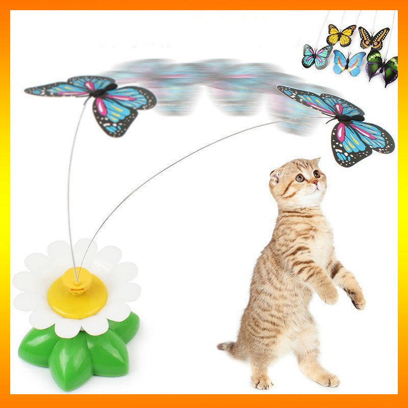 Jouet Papillon Pour Chats