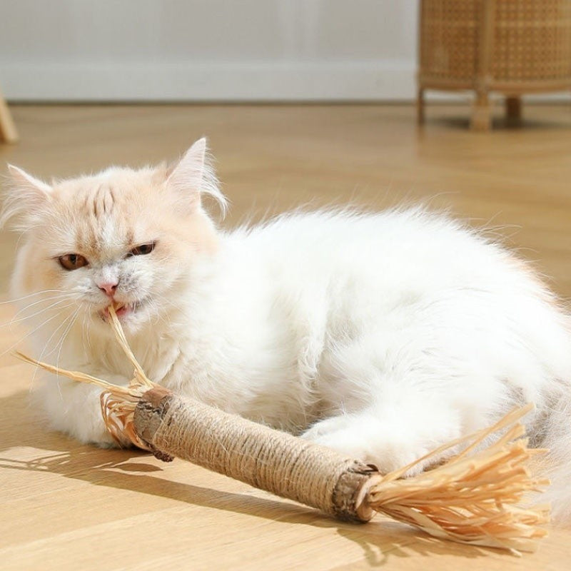 Bâtonnets De Nettoyage Des Dents Kitty