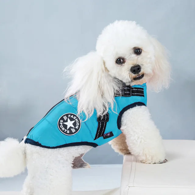 Veste pour Chien Coupe-vent et Imperméable avec Harnais Intégré Animaux Plus