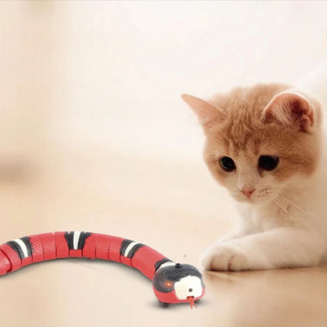 Snakey - Jouet Interactif Pour Chats