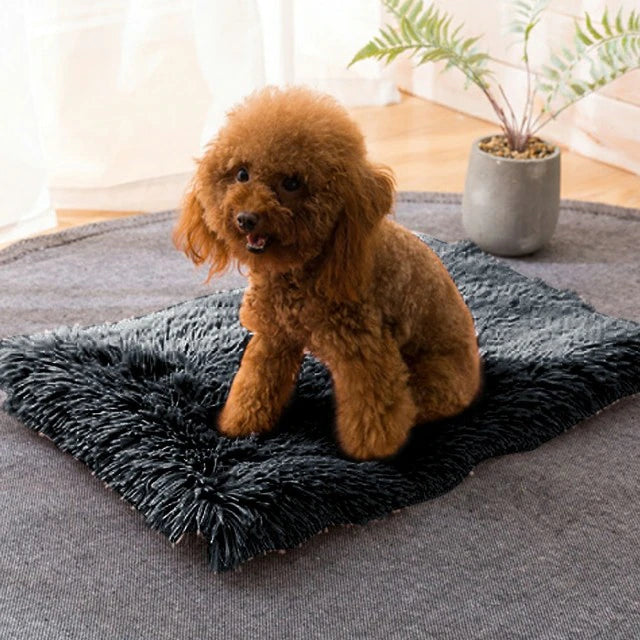 Tapis polaire pour chien