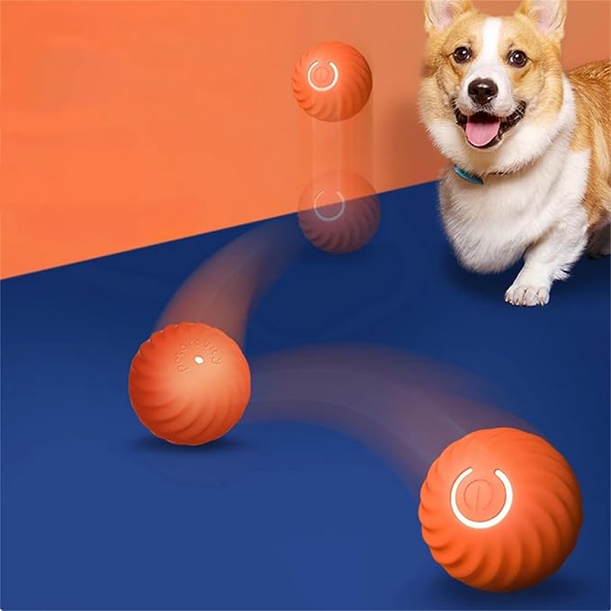 Balle À Sauter Interactive Pour Chiens