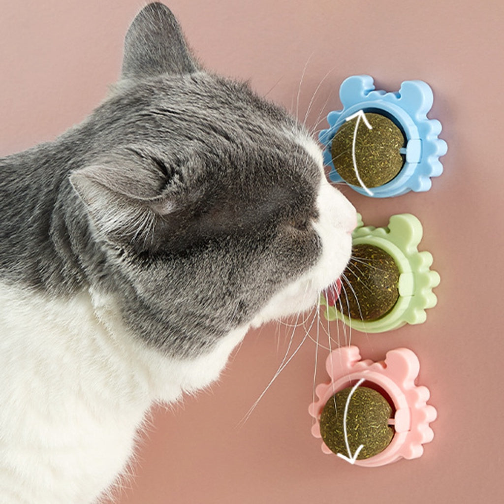 Boule D'herbe À Chat Pour Chats
