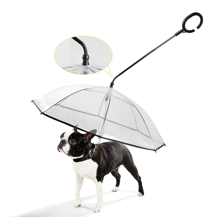 Parapluie Transparent pour Chiens Animaux Plus