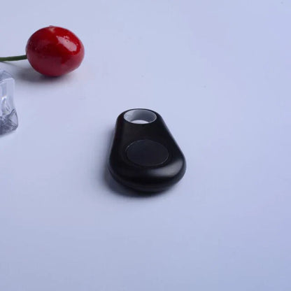 Suivi Gps Pour Animaux