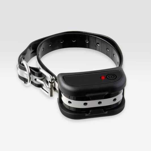 Collier récepteur additionnel pour anti-fugue sans-fil SafeZone™