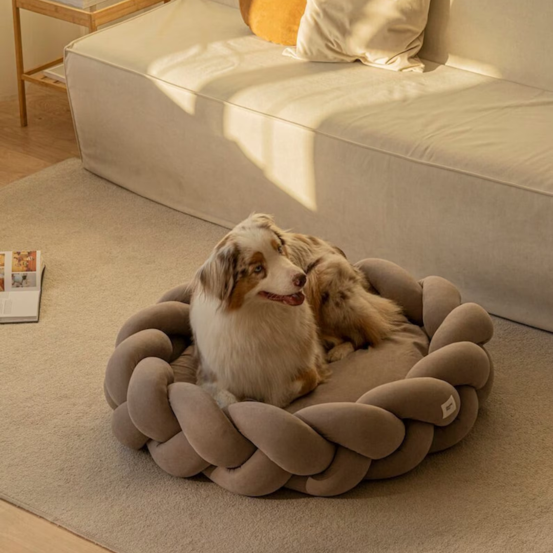 Lit de luxe pour chien