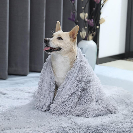 Tapis polaire pour chien