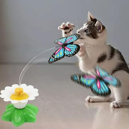 Jouet Papillon Pour Chats