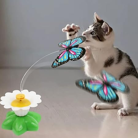 Jouet Papillon Pour Chats