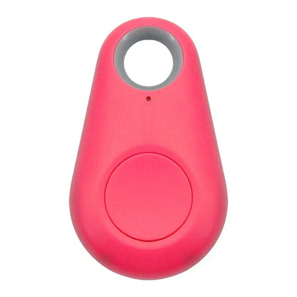 Suivi Gps Pour Animaux