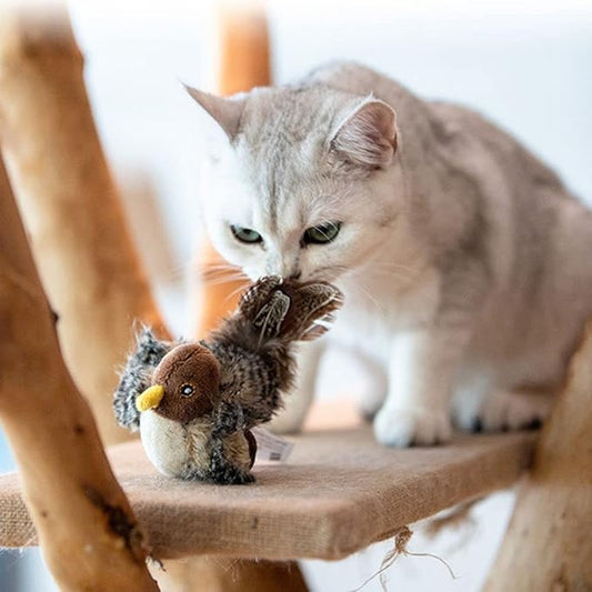 Jouets Oiseaux Gazouillants Pour Chats