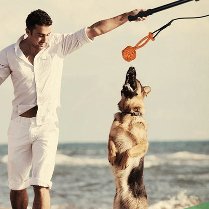 Kit flirt pole sport canin