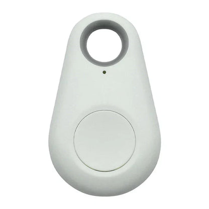 Suivi Gps Pour Animaux