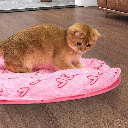 Jeu De Cache-cache Pour Chats