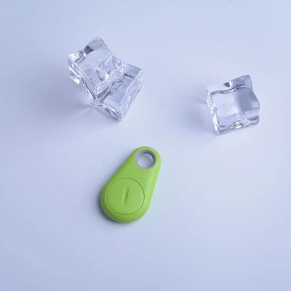 Suivi Gps Pour Animaux