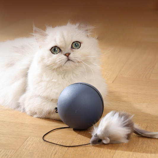 Jouet Turboball Avec Queue Pour Chats