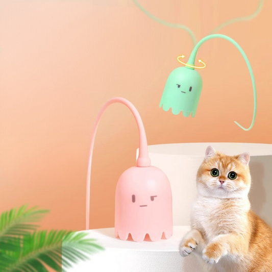 Jouet Queue De Rat Pour Chats