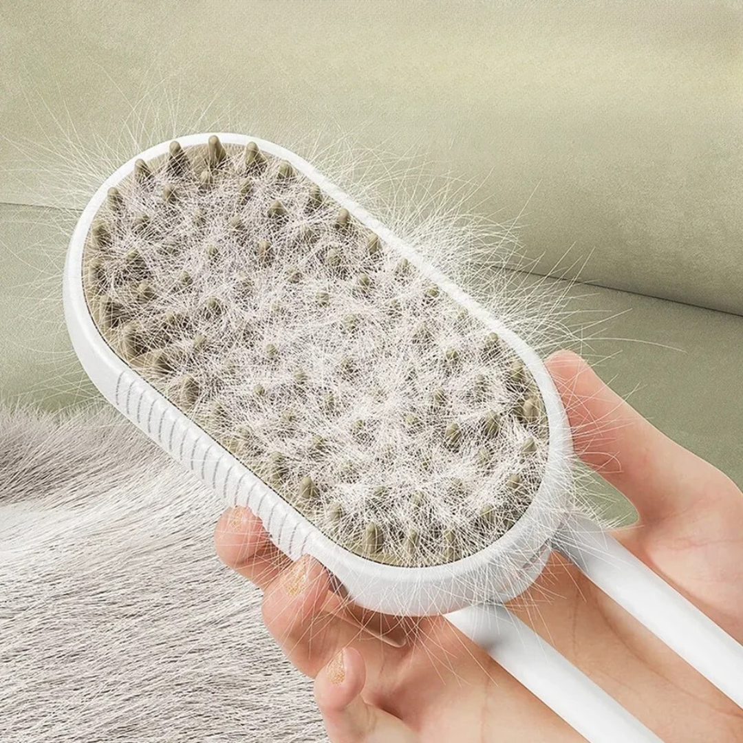 Brosse À Vapeur 2.0